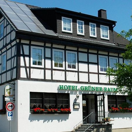 שטולברג Hotel Gruener Baum מראה חיצוני תמונה
